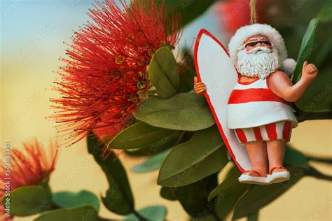 Close-up of flowers of New Zealand's native Pohutukawa tree with Santa ...