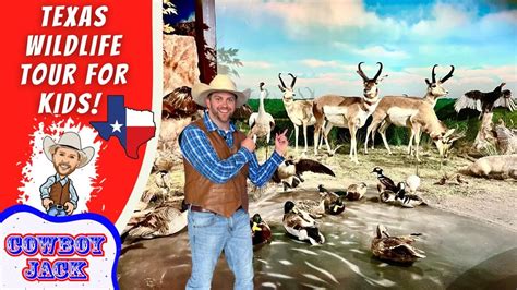 Texas Wildlife Tour for Kids | Learn About Animals - YouTube