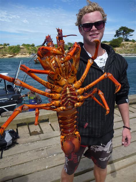 a man is holding up a large lobster