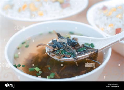 pickled cabbage soup Stock Photo - Alamy