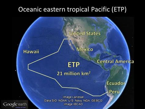 Eastern Tropical Pacific Ocean [IMAGE] | EurekAlert! Science News Releases