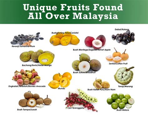 Unique, exotic fruits found all over Malaysia. : r/fruit