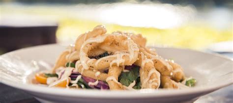 Deep Fried Calamari Rings and Salad Stock Image - Image of nature ...