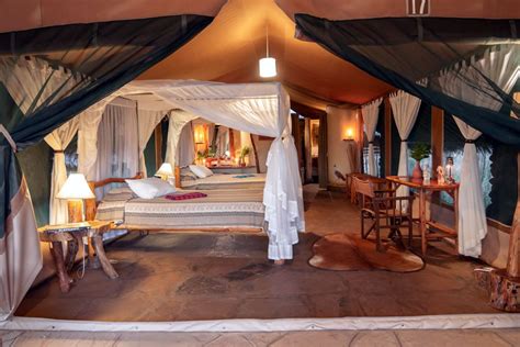 Kibo Safari Camp - Evacay Africa | Kenya's Leading Online Safari Operator