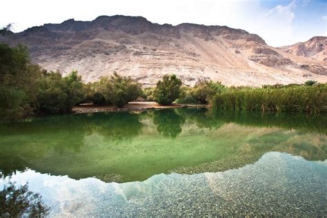 Enot Tsukim Nature Reserve - Israel Nature and Parks Authority