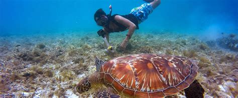 Top 5 Snorkeling Spots in Guam | Crowne Plaza Resort Guam