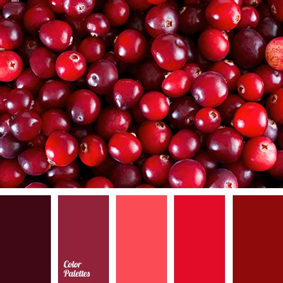 color solution for living room | Color Palette Ideas