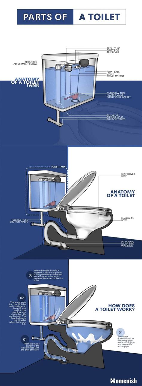 Parts of a Toilet and How It Works (3 Full Diagrams) - Homenish | Flush ...