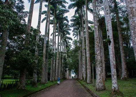 Aburi Botanical Gardens