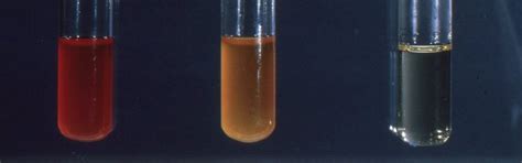 METHYL RED TEST - #1 Microbiology Resource Hub