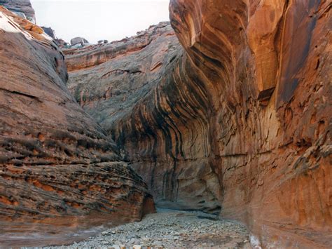 Streaked Wingate sandstone: Swett Creek, Utah