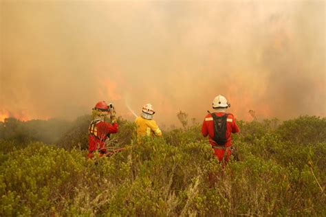 Incendio forestal en Amazonas: expertos del Indeci capacitan a gobierno regional y local