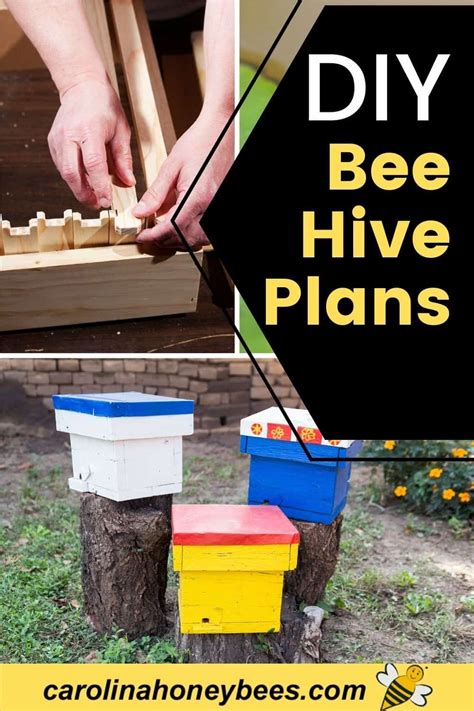 Beehive Plans: Where to Find Good Ones- Carolina Honeybees | Bee hive ...