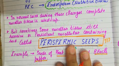 Endosperm and its types class xii biology - YouTube