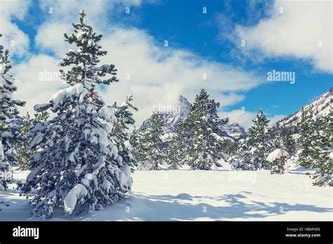 Winter in Glacier Park Stock Photo - Alamy