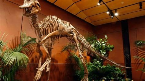 10 Facts About Hadrosaurus | Mental Floss