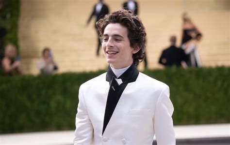 Timothée Chalamet may have a secret YouTube channel for Xbox modding | FAVorite Hits