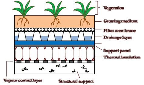 Structure of extensive green roof | Download Scientific Diagram