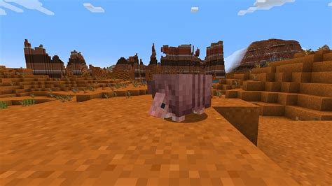 Minecraft Armadillo update is a turning point for future Mob Votes