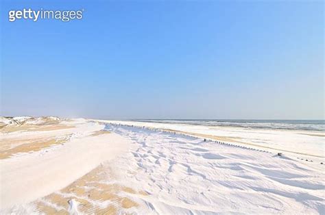 Bright Day At The Assateague Beach 이미지 (465031088) - 게티이미지뱅크