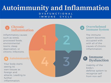 Autoimmune Treatments in Seattle | Northwest Restorative Medicine