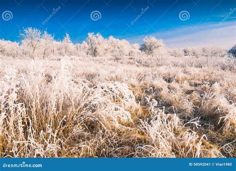 Hoar frost valley_1 stock image. Image of scene, countryside - 50592041