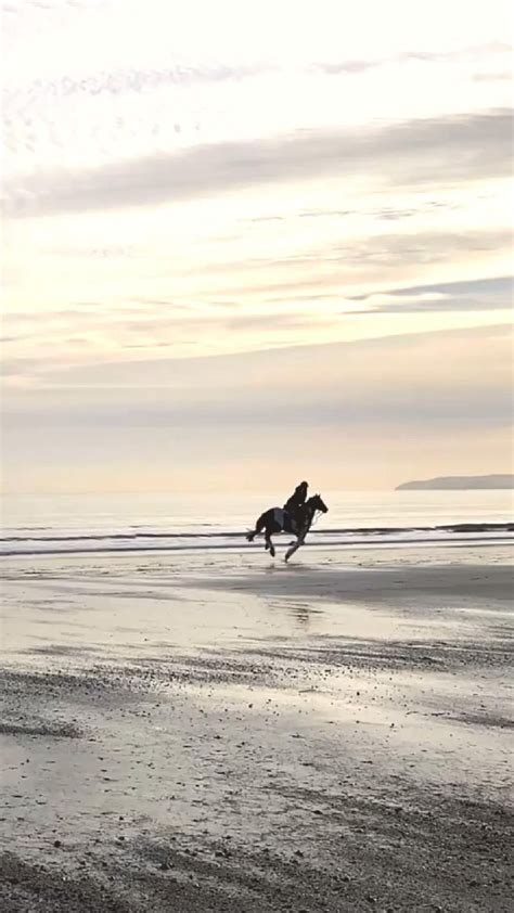 Horse Riding! Horse Riding In the Sunset | Horse riding, Horses, Sunset