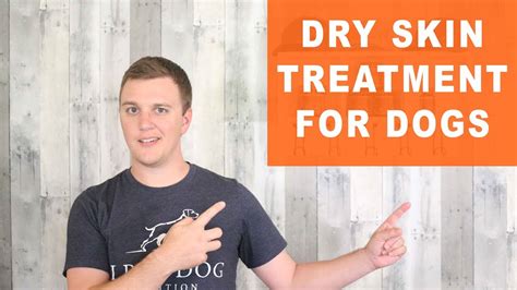 Dry Skin Treatment for Dogs - Remedy Your Dog's Dry, Itchy Skin - YouTube