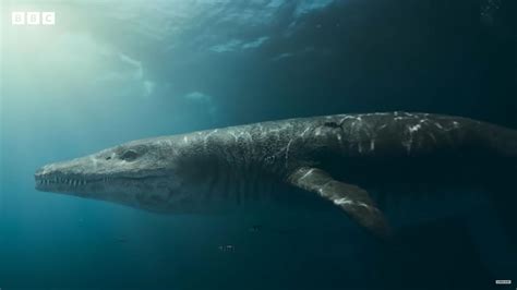 Giant skull of sea monster pliosaur discovered in Dorset cliffs | Herald Sun