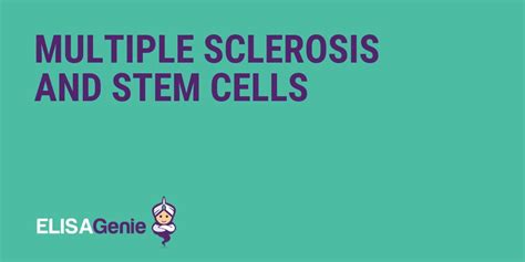 Multiple Sclerosis and Stem Cells - Assay Genie