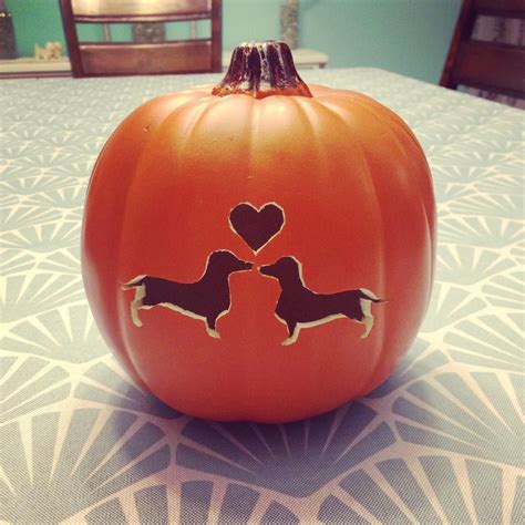 Was there any question that I would make a #dachshund #pumpkin? # ...