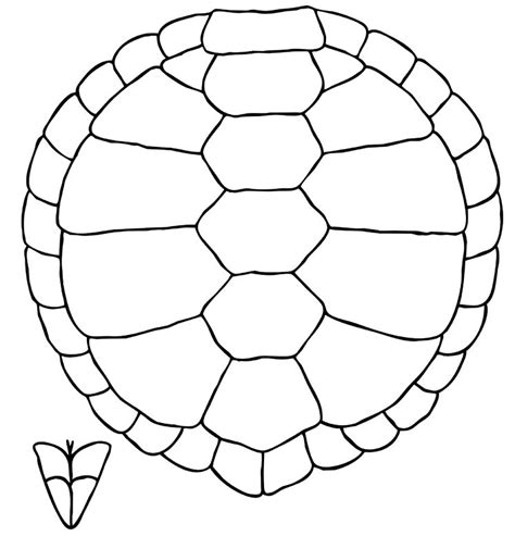 Turtle Shell Pattern Drawing - ClipArt Best