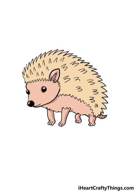 Hedgehog Drawing - How To Draw A Hedgehog Step By Step