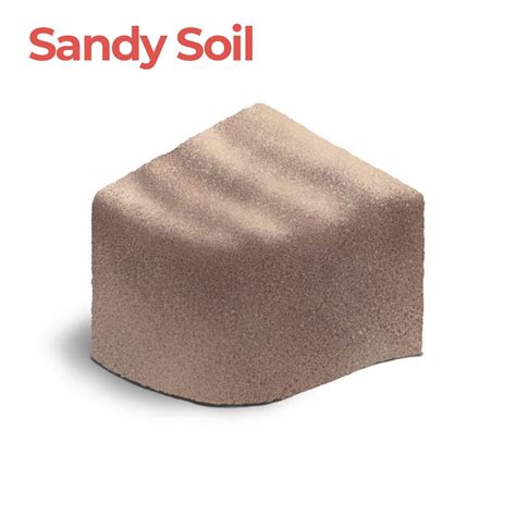 Sandy_Soil | Foundation Professionals of Florida