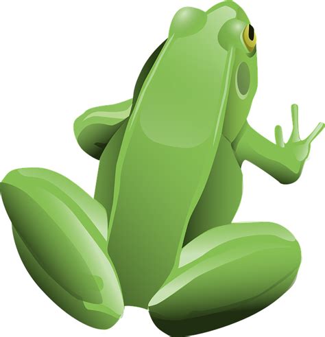 Free vector graphic: Frog, Amphibian, Animal, Green - Free Image on Pixabay - 157934
