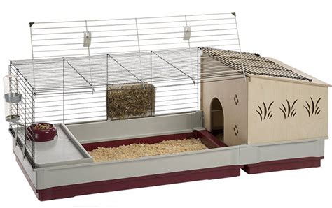 Best Indoor Guinea Pig Cages, Hutches, and Runs Reviewed