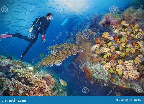 Divers and coral reef stock photo. Image of ocean, relaxation - 76313396