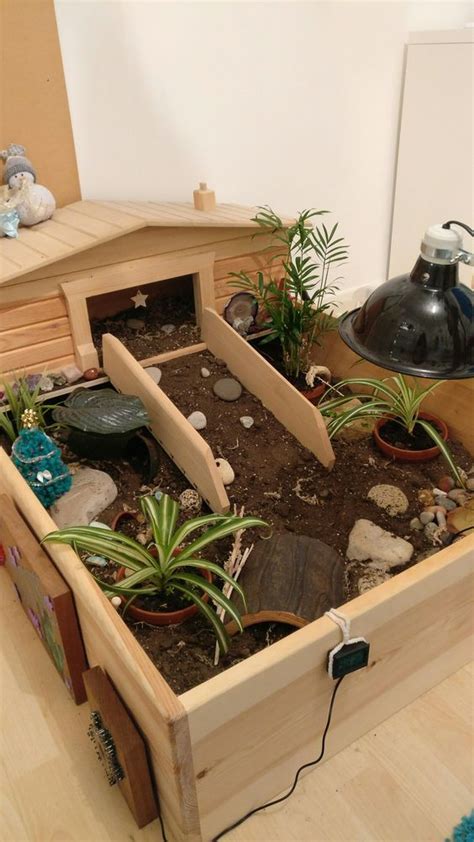 Tortoise Enclosure Ideas