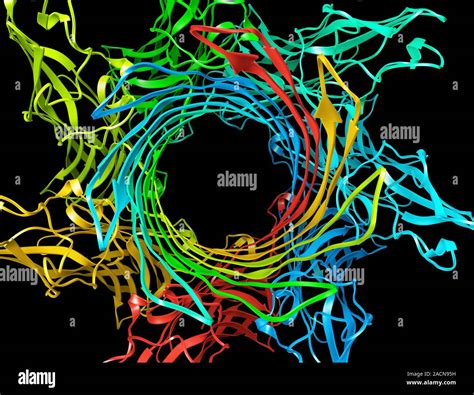 Structure of staphylococcal alpha-hemolysin, a heptameric transmembrane ...