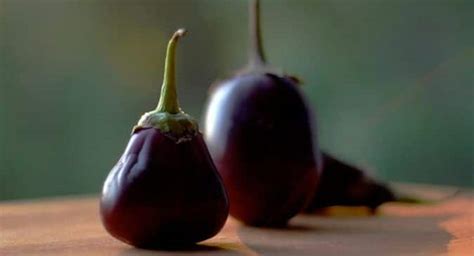 Incredible health benefits of brinjal | TheHealthSite.com