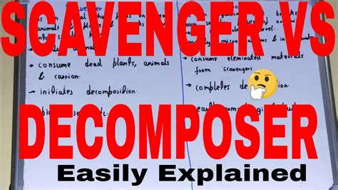 Scavengers vs Decomposers|Difference between scavengers and decomposers|Scavengers decomposers ...