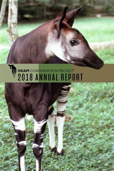 Annual Reports — Okapi Conservation Project