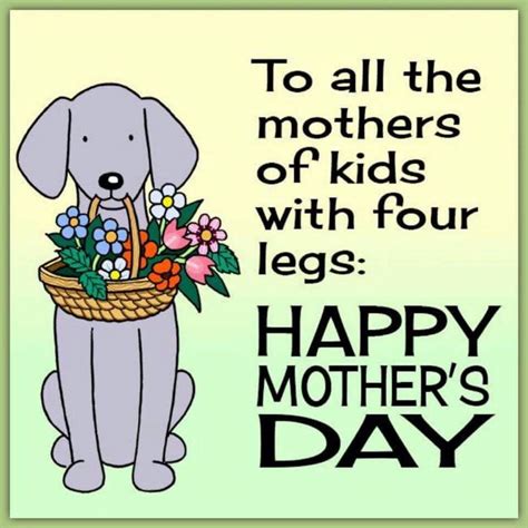 Pin by Becky Newman on furbabies | Mother day wishes, Happy mothers, Happy mother s day