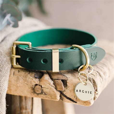 Green Leather Dog Collar, Lead And ID Name Tag Gift Set By Castor ...