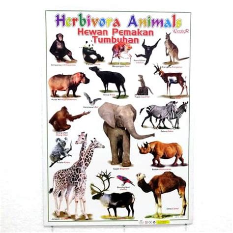 Jual Poster Hewan Herbivora | Shopee Indonesia