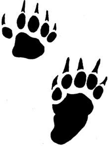 Skunk Tracks: How to Identify Skunk Footprints | Cape Cod