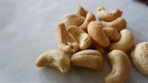 The Complete Guide to Growing a Thriving Cashew Tree - Garden and Happy