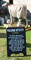 Category:Milking - Wikimedia Commons