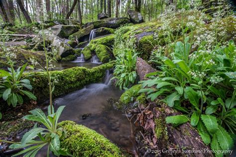 fairy falls - Griffey's Sunshine Photography