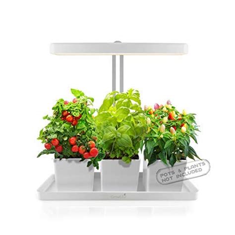 7 Best Indoor Garden Kits Buying Guide - Easily Grow Food